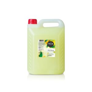 ΛΕΜΟΝΙ ΑΡΤΥΜΑ