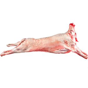 ΑΡΝΙ ΟΛΟΚΛΗΡΟ ΝΩΠΟ