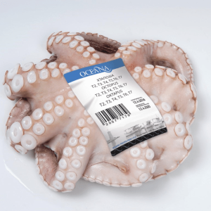 ΧΤΑΠΟΔΙ ΙΝΔΟΝΗΣΙΑΣ ΟΛΟΚΛΗΡΟ 1-2KG ΚΤΨ ΤΙΜΗ ΚΙΛΟΥ