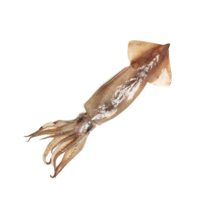 ΘΡΑΨΑΛΟ ΕΙΡΗΝΙΚΟΥ ΟΛΟΚΛΗΡΟ ΚΑΘΑΡΙΣΜΕΝΟ 200/300 ΚΤΨ 700GR